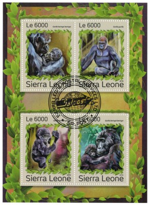 SIERRA LEONE 2016 - Fauna, Gorile/ colita noua foto