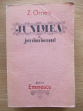 JUNIMEA SI JUNIMISMUL-Z ORNEA-R5A