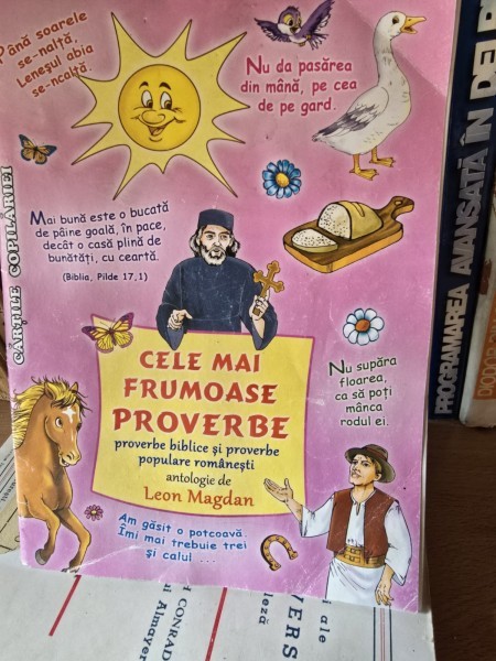 Cele mai frumoase proverbe - Leon Magdan