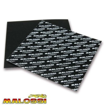 Folie carbonita Malossi pentru lamele muzicuta &amp;ndash; dimensiuni: 100 x 100 mm; grosime: 0.30 mm &amp;ndash; set 2 bucati foto