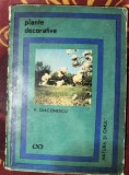 V. Diaconescu - Plante decorative