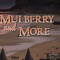 Mulberry and More