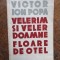 VICTOR ION POPA - VELERIM SI VELER DOAMNE