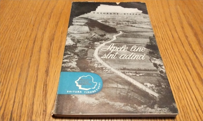 APELE LINE SINT ADINCI - Gheorghe Stefan - Editura Tineretului, 1957, 163 p.