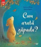 Cum arata zapada? - Litera