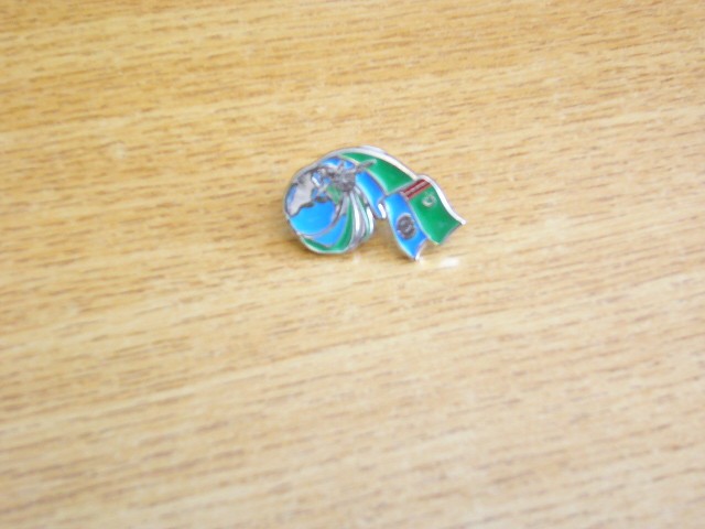 QW9 N3 30 - insigna - steag - culori - insemne nationale - Turkmenistan - UNICEF