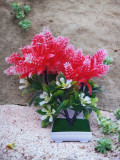 Copacel decorativ model astilbe rosu
