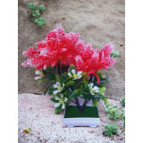Copacel decorativ model astilbe rosu