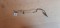 Foto  - 1