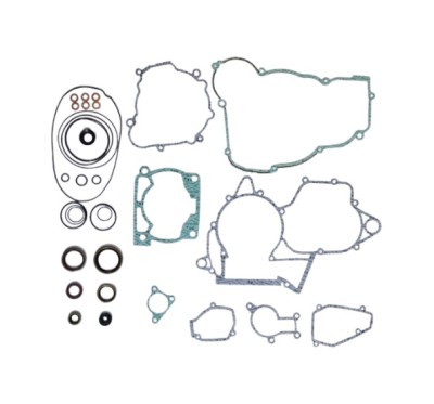 Set complet garnituri motor Beta RR 250 300 Xtrainer 13- 23 (include si simeringuri) Enduro Expert EE-BETA31 foto