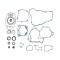 Set complet garnituri motor Beta RR 250 300 Xtrainer 13- 23 (include si simeringuri) Enduro Expert EE-BETA31