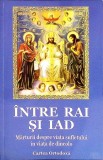 INTRE RAI SI IAD. MARTURII DESPRE VIATA SUFLETULUI IN VIATA DE DINCOLO-IEROM. PORFIRIE NICHITA-356130