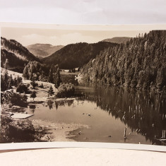 Ghilcos - Lacul Rosu - carte postala circulata 1953