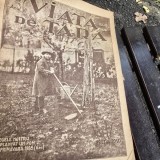 Revista Viata de Tara Anul VI Nr. 7 / 1928 (Regele nostru a plantat un pom Primavara 1928)