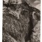 CPIB 15909 CARTE POSTALA - SLANIC PRAHOVA. MUNTELE DE SARE, RPR