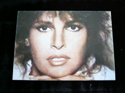 QW28 - Artisti straini 2 - Raquel Welch foto