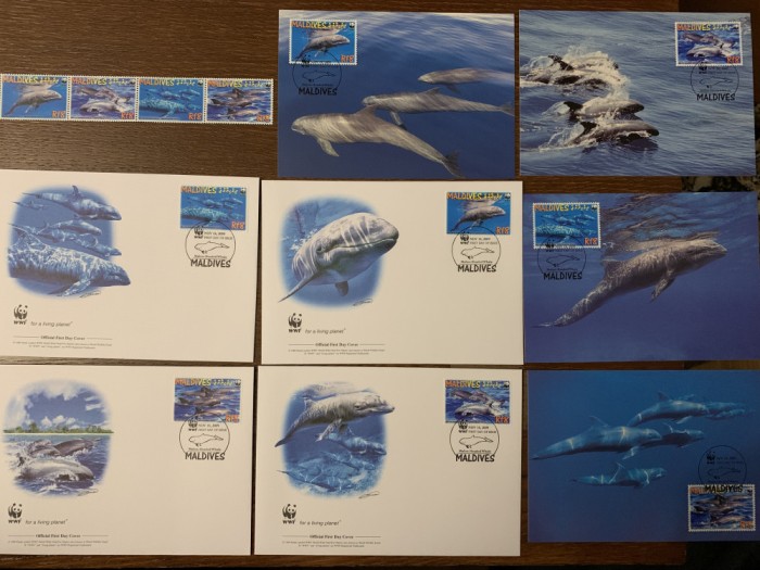 maldive - delfin - serie 4 timbre MNH, 4 FDC, 4 maxime, fauna wwf