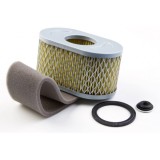 Cumpara ieftin Filtru Aer Briggs - Stratton 797033, 798504