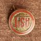 QW9 N8 60 - insigna - Asociatia ASIT