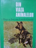 Din Viata Animalelor - Hugo &amp; Jane Van Lawick-Goodall, Editura Enciclopedica Romana 1974, Biologie, Coperta Cartonata
