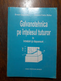 Galvanotehnica pe intelesul tuturor - Ernest Grunwald, autograf / R8P2S, Alta editura