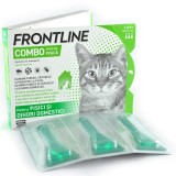 FRONTLINE COMBO PISICA CUTIE 3PIP