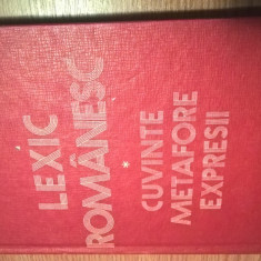 Lexic romanesc - Cuvinte, metafore, expresii - Stelian Dumistracel (1980)