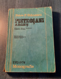 Pietrosani Arges monografie 1352 1974 Petre P. Stanescu cu autograf