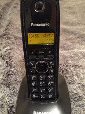 Telefon fix Panasonic KX-TG1611FX foto