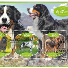 GABON 2020 - Fauna, Caini / set complet colita + bloc