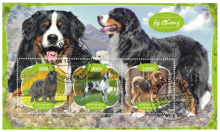 GABON 2020 - Fauna, Caini / set complet colita + bloc