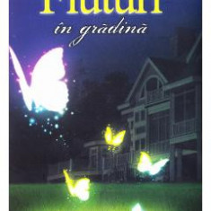 Fluturi in gradina - Valter Dos Santos