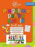 Cumpara ieftin Pregatirea pentru scoala. 5-6 ani/***
