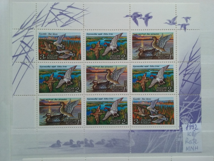 1992-Rusia-Rate-Klb.-MNH-Perfect