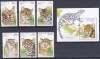 DB1 Fauna Benin Feline set + SS MNH, Nestampilat