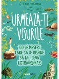 Cumpara ieftin Urmeaza-ti visurile! 100 de meserii care sa te inspire sa faci ceva extraordinar/Katherine Mengardon