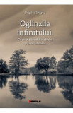 Oglinzile infinitului. Ce sunt filozofiile istoriei si la ce folosesc - Bogdan Ivascu