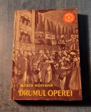 Drumul operei Alfred Hoffman