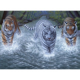 Pictura pe numere juniori - 3 tigri, Jad