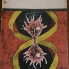 Biografia celulei Radu Iftimovici 1969