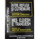 INTRE REFUGII SI CUTREMURE-KOPI KYCYKU CONVORBIRI CU VICTOR CRACIUN-233652