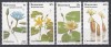 Botswana 1981 - Flori, MNH, Nestampilat