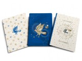 Set carnete - Harry Potter - Ravenclaw Constellation | Insight Editions