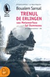 Trenul de Erlingen sau Metamorfoza lui Dumnezeu (ebook)