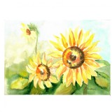 Tablou, Floarea Soarelui, acuarela pe hartie, neinramat, 21x29 cm