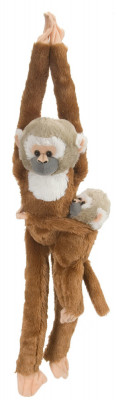 Maimuta care se agata Maimuta Veverita cu pui foto