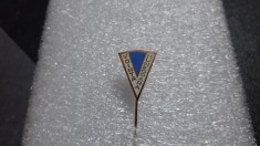 Insigna Vointa Hunedoara foto