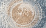 Covor printat, Harper 200x300