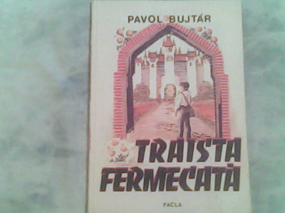 Traista fermecata-Pavol Bujtar foto