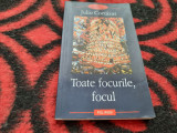 JULIO CORTAZAR TOATE FOCURILE,FOCUL